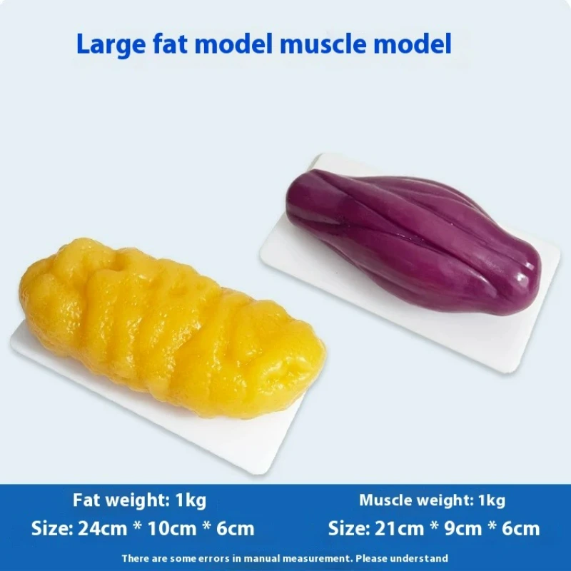 Human Muscle and Fat Replicas  - Nutrition Of Fitness recension och pris